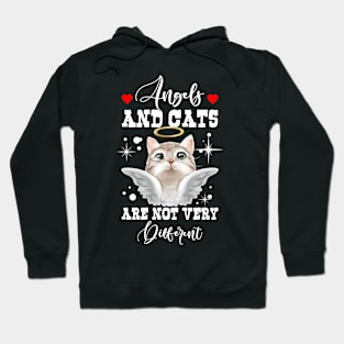 Angels And Cats Are Not Very Different Funny Hoodie